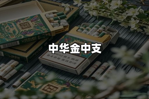 中华金中支
